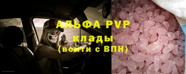 PSILOCYBIN Сосновоборск