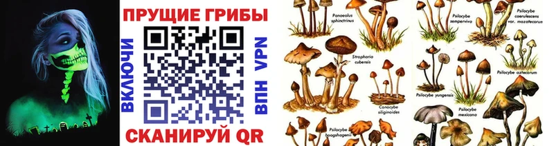 Галлюциногенные грибы прущие грибы  кракен сайт  Долинск 